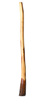 Satin Finish Ironbark Didgeridoo (IB216)
